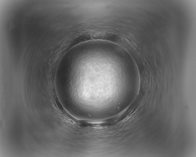 X0000066111345200603131251