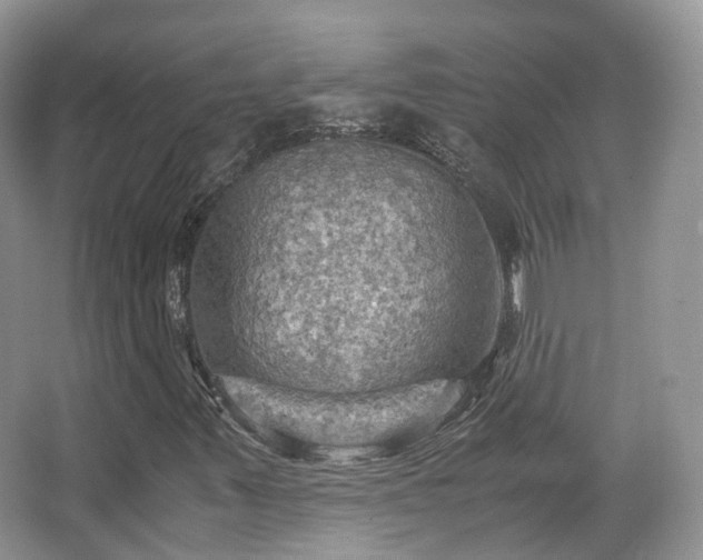X0000066111347200603131251