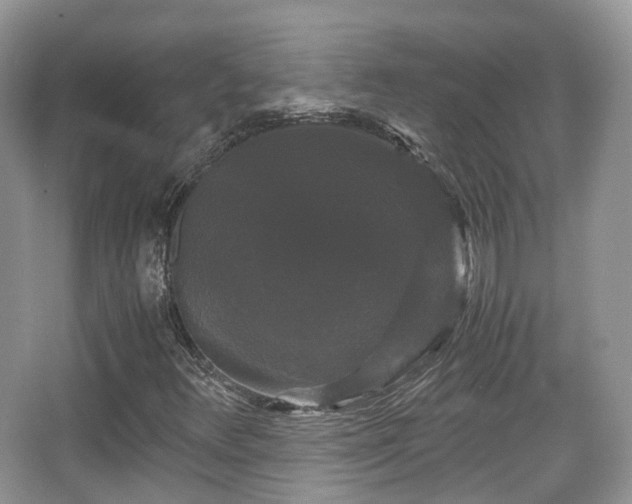 X0000066111348200603131251