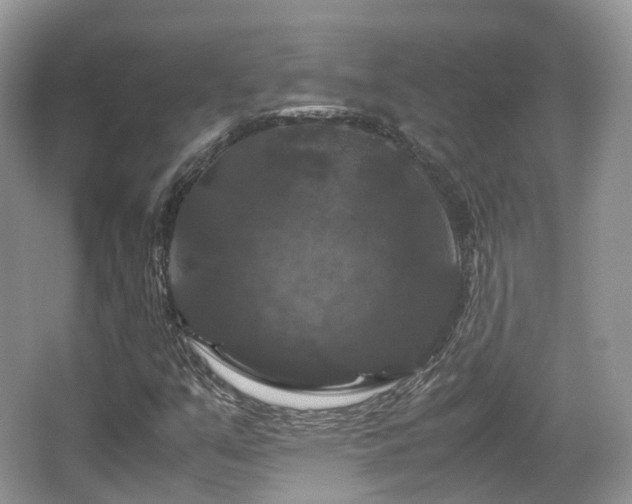 X0000066111351200603131251