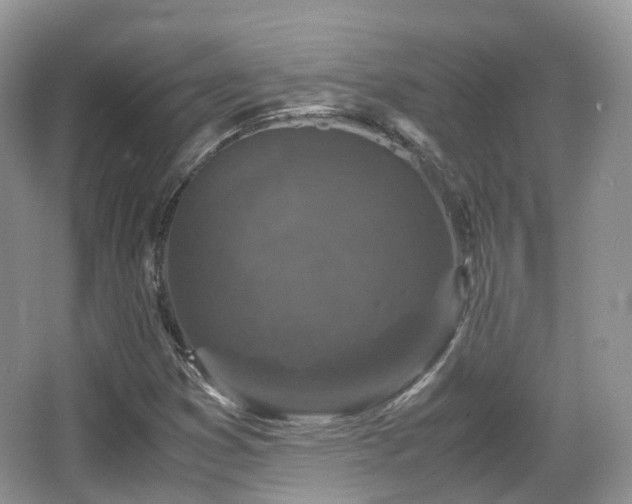 X0000066111353200603131251