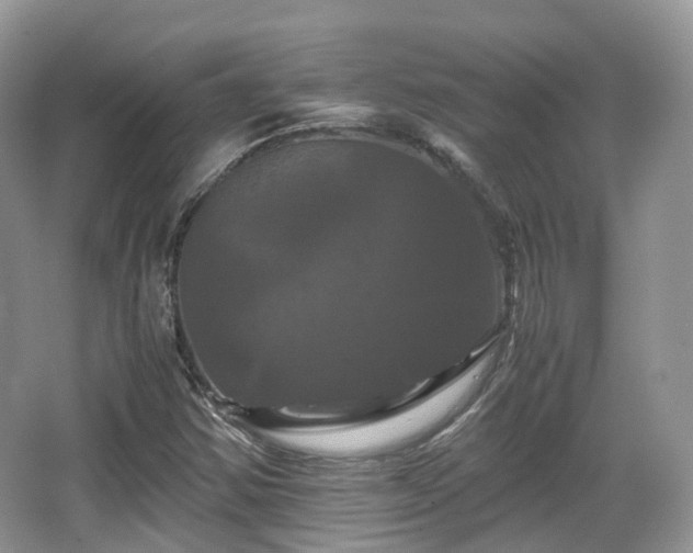 X0000066111354200603131251