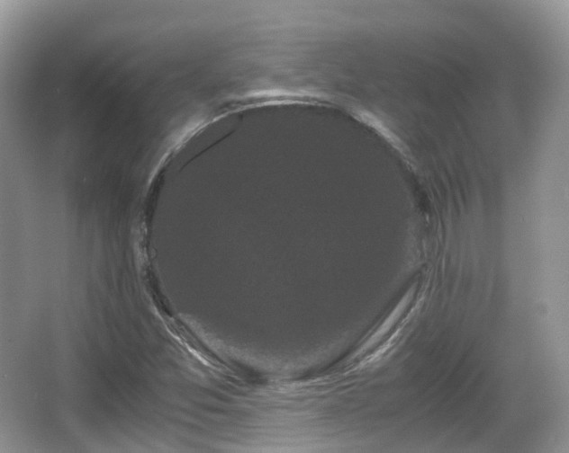 X0000066111357200603131251