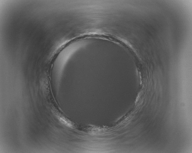 X0000066111359200603131251