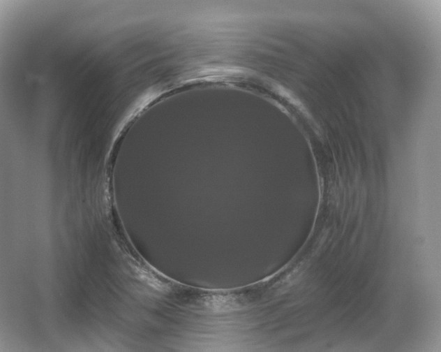 X0000066111362200603131251