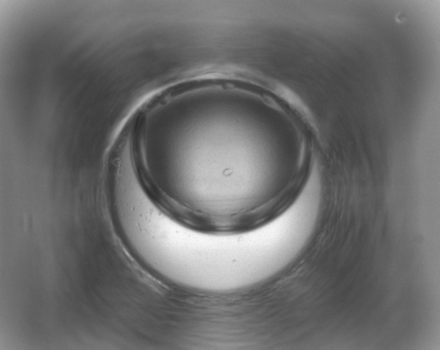 X0000066111368200603131251