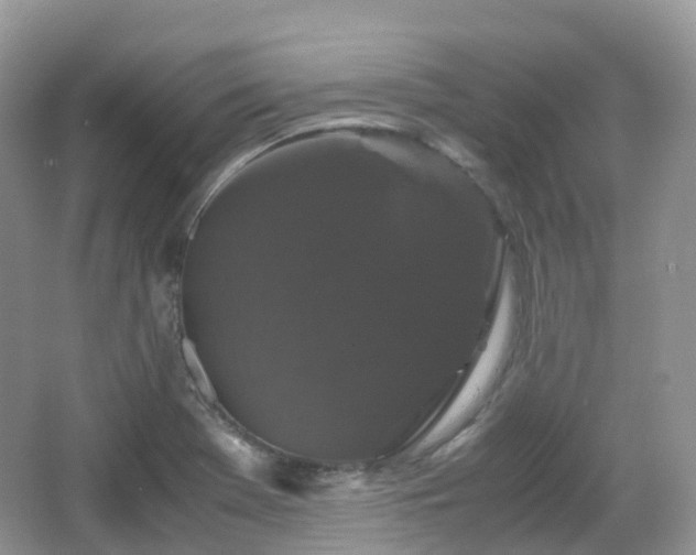 X0000066111369200603131251