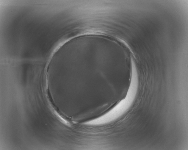 X0000066111371200603131251