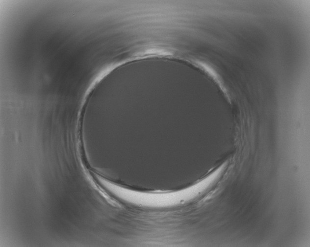 X0000066111373200603131251
