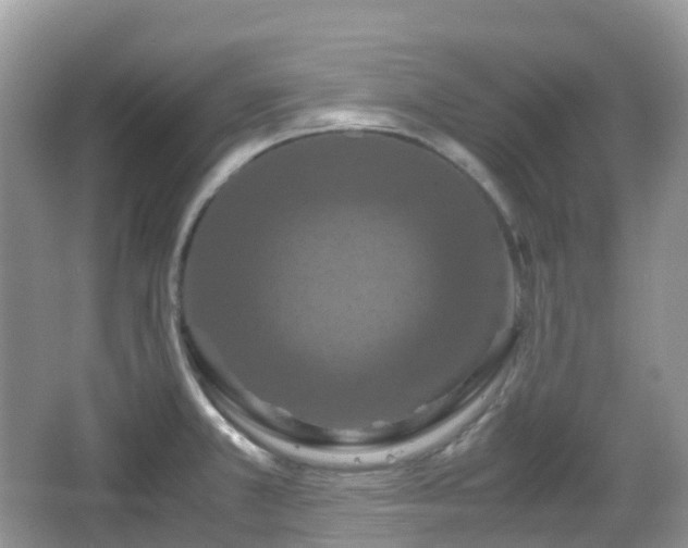 X0000066111381200603131251