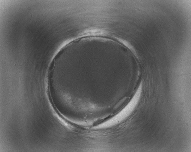 X0000066111383200603131251