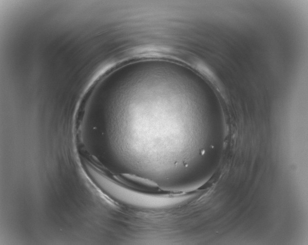 X0000066111384200603131251