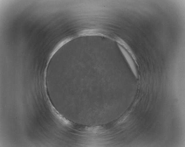 X0000066111386200603131251