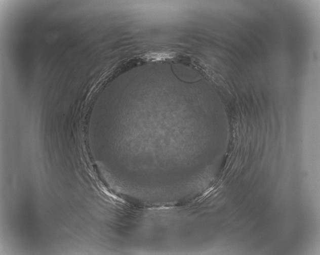 X0000066111393200603131250
