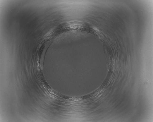 X0000066111394200603131250