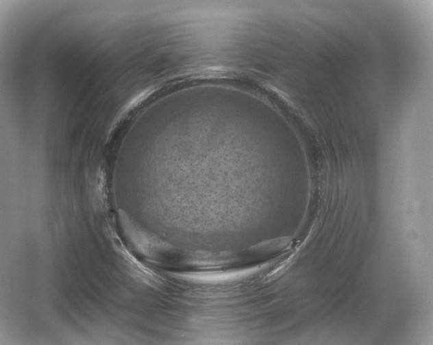 X0000066111402200603131250
