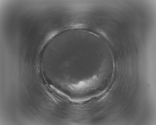X0000066111405200603131250