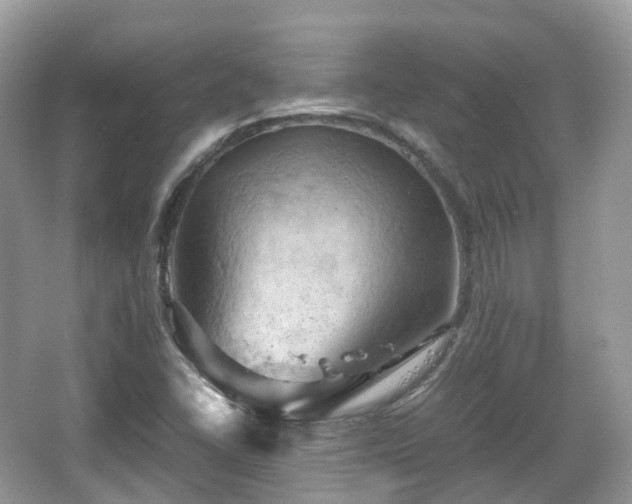 X0000066111406200603131250