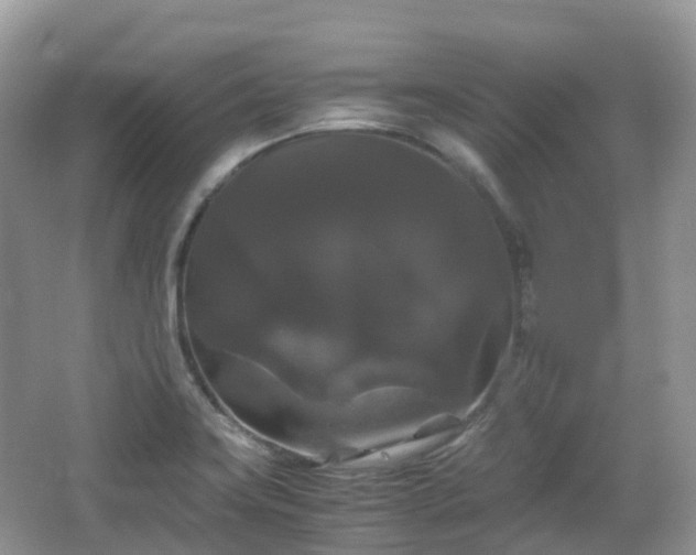 X0000066111419200603131250