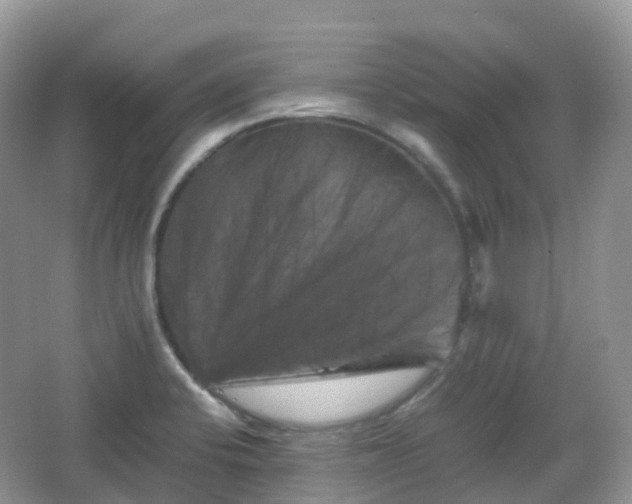 X0000066111424200603131250