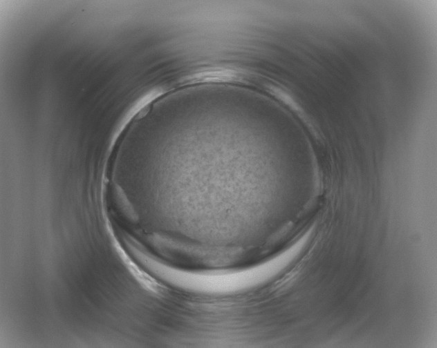 X0000066111426200603131250