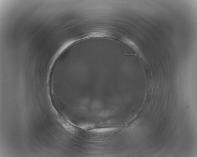 X0000066111427200603131250