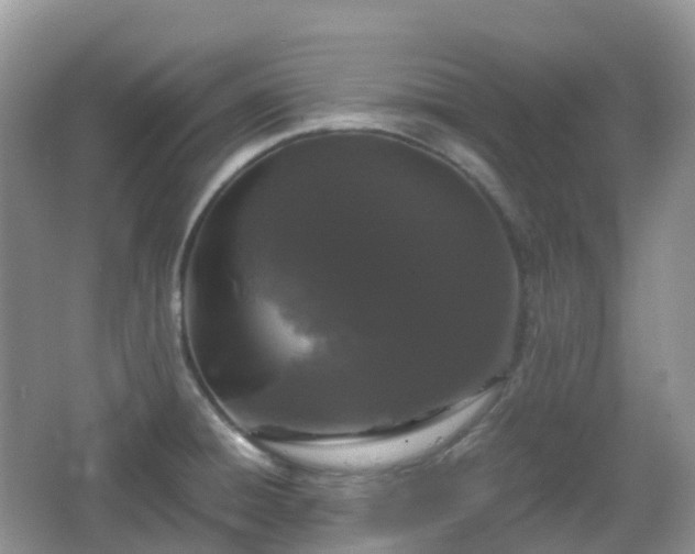 X0000066111428200603131250