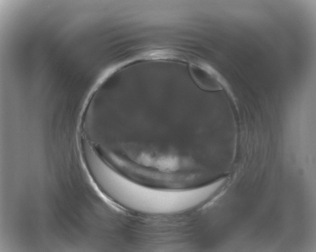 X0000066111429200603131250