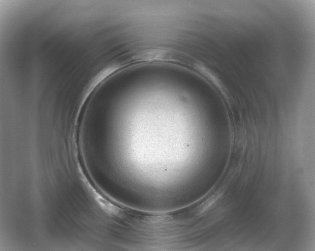 X0000066111434200603131250