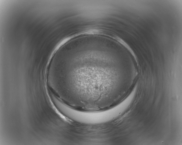 X0000066111437200603131250