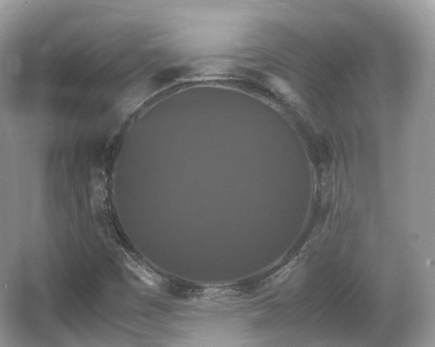 X0000066111449200603131249