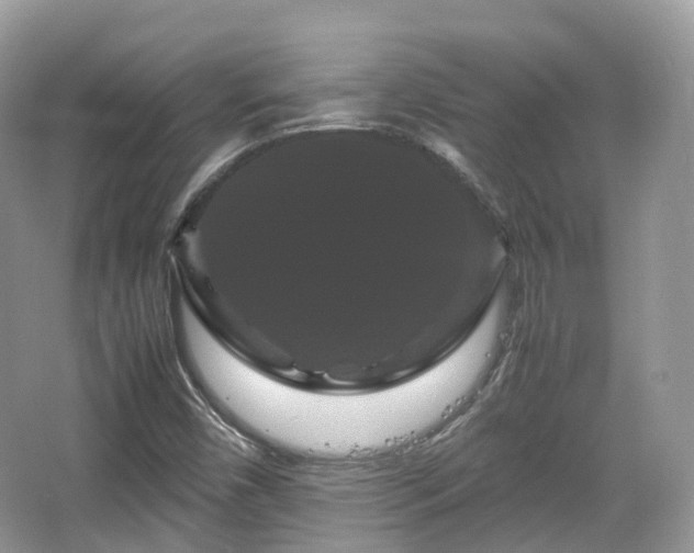 X0000066111450200603131249