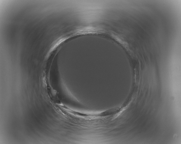 X0000066111453200603131249