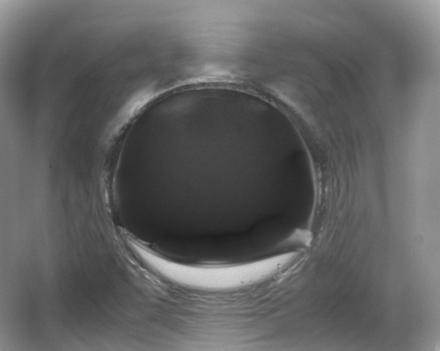 X0000066111455200603131249