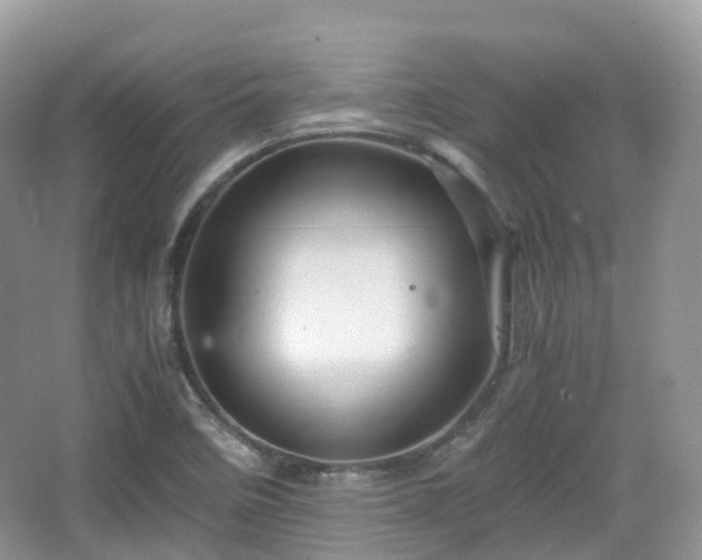 X0000066111458200603131249