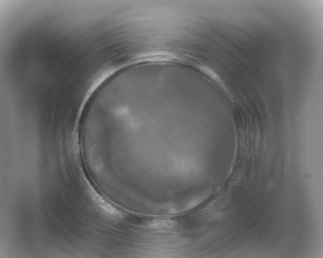 X0000066111466200603131249