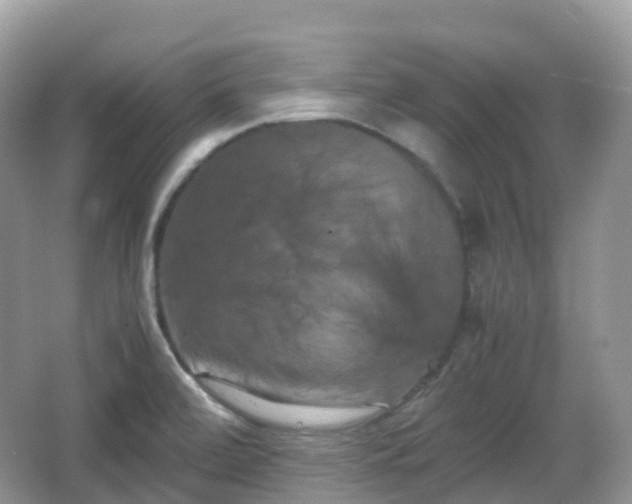 X0000066111472200603131249