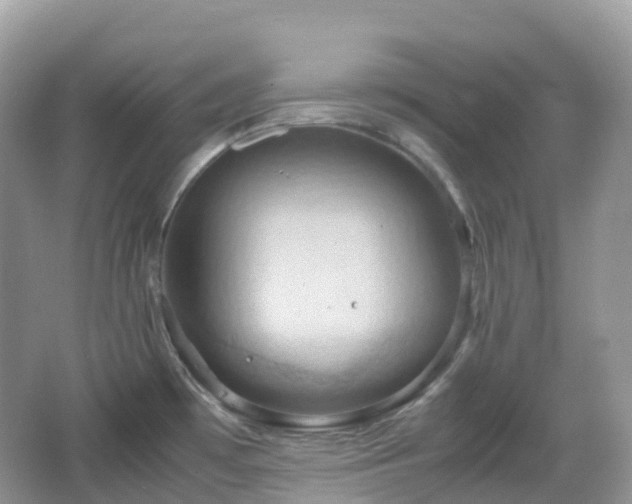 X0000066111481200603131249