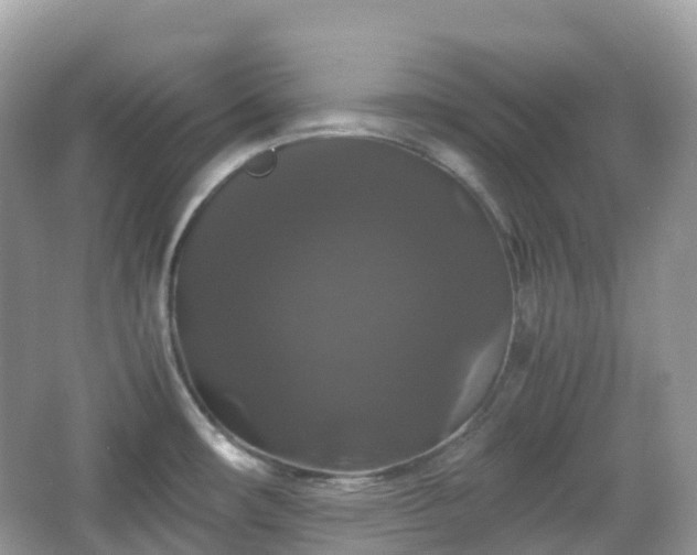 X0000066111482200603131249