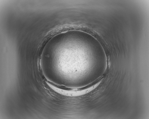 X0000066111492200603131248