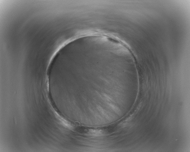 X0000066111509200603131248