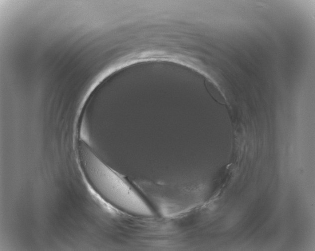 X0000066111527200603131249
