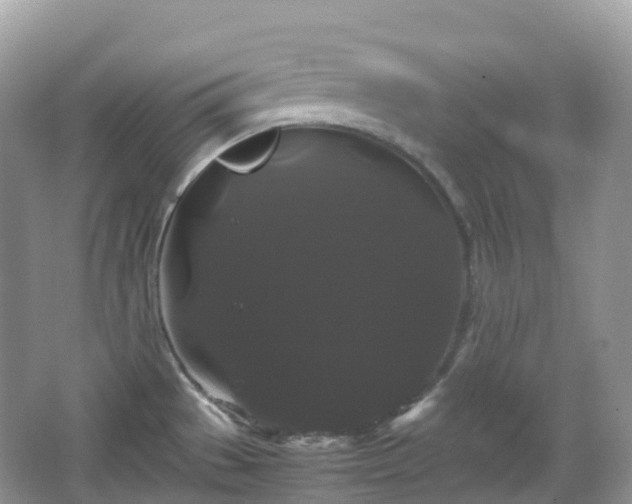 X0000066111529200603131249