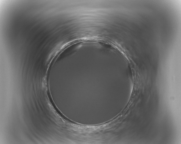 X0000066110002200603171435