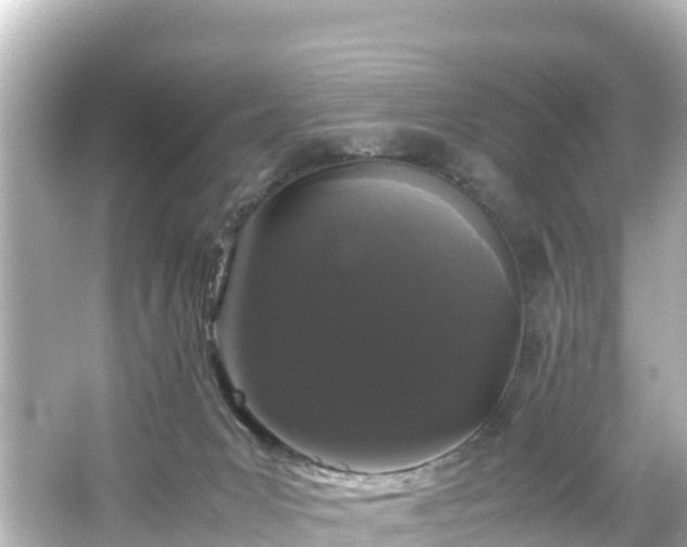 X0000066110031200603171434