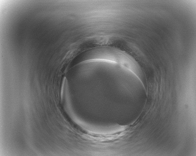 X0000066110035200603171434