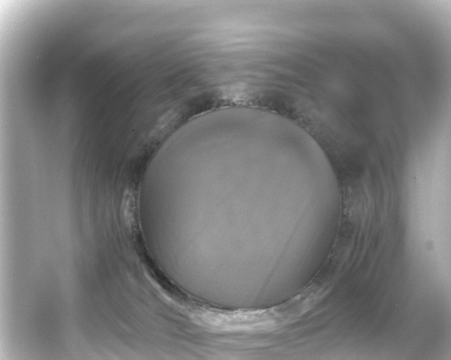 X0000066110036200603171434