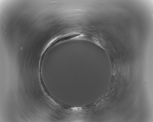 X0000066110052200603171433