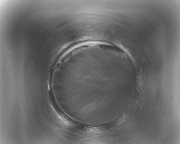 X0000066110062200603171433