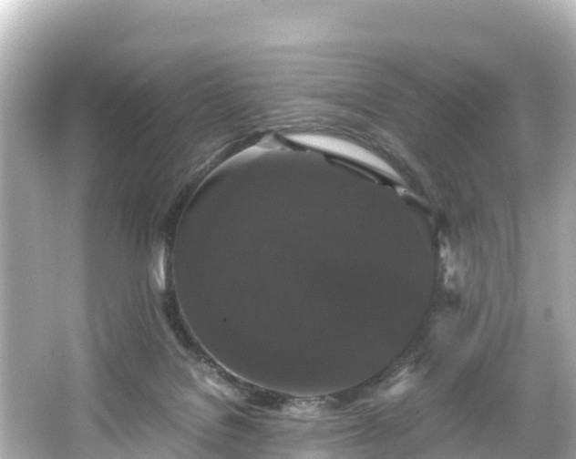 X0000066110076200603171433